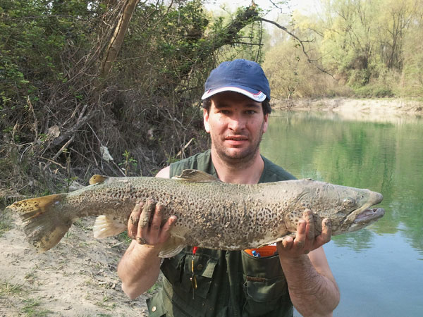 Trota record dal Brenta