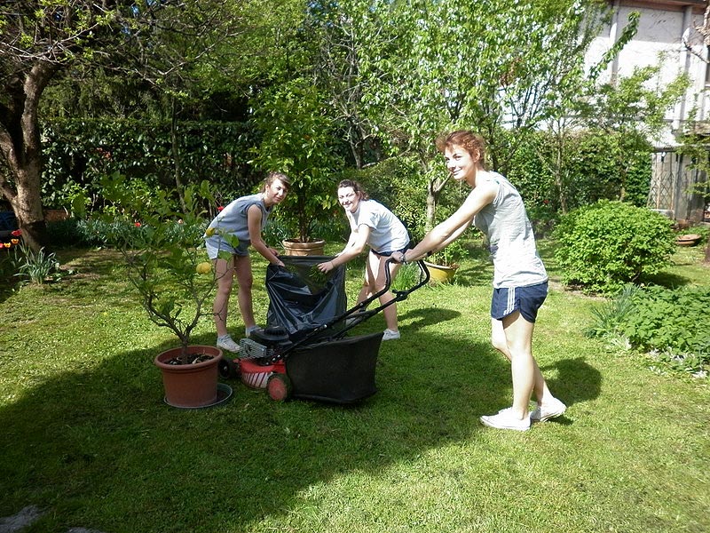 The day after