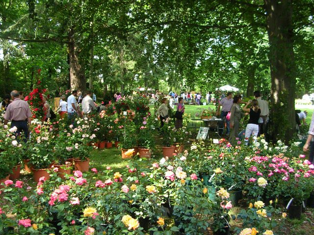 Rose in Villa Giusti - 9a edizione