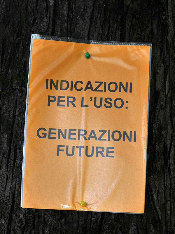 “Requiem” per gli alberi di salita Santa Caterina