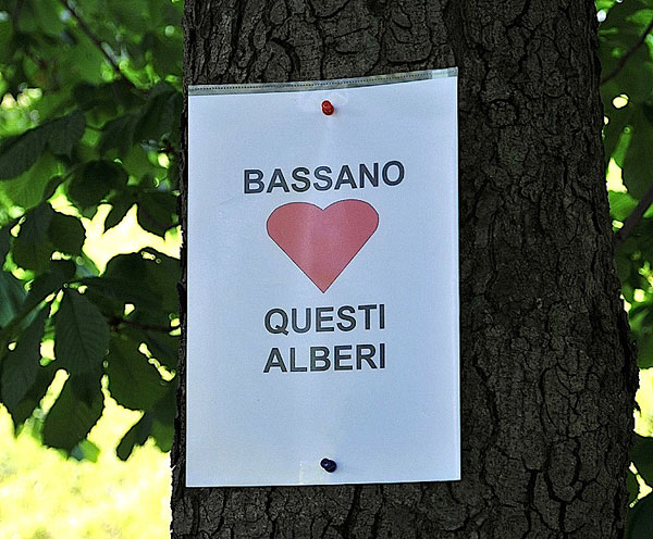 “Requiem” per gli alberi di salita Santa Caterina