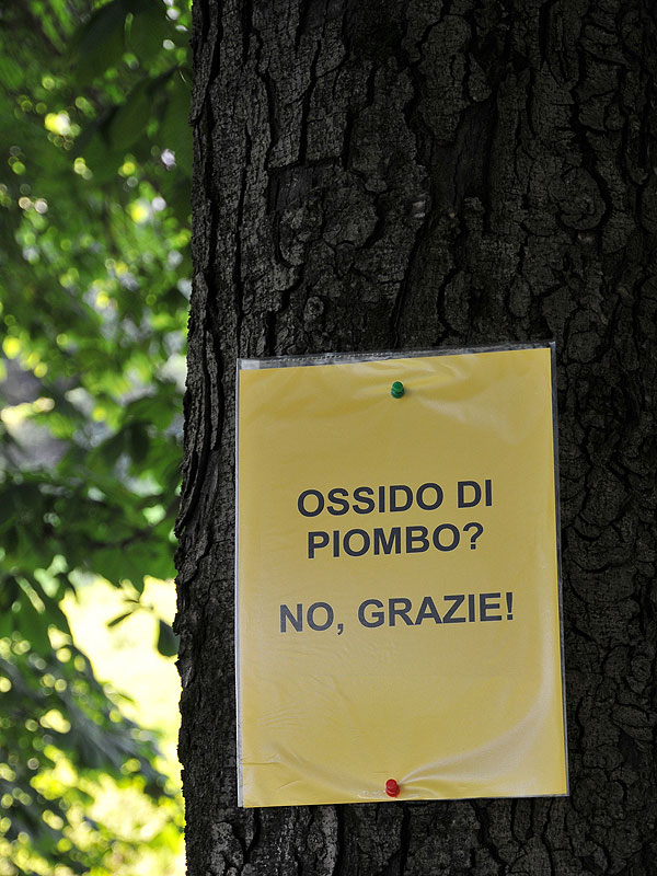 “Requiem” per gli alberi di salita Santa Caterina