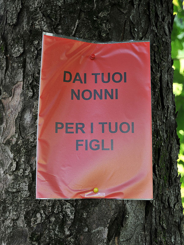 “Requiem” per gli alberi di salita Santa Caterina