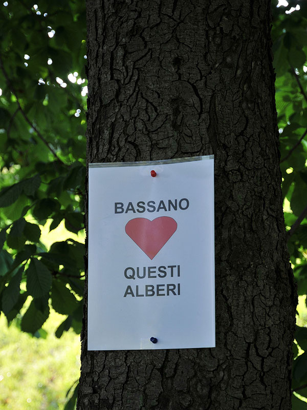 “Requiem” per gli alberi di salita Santa Caterina