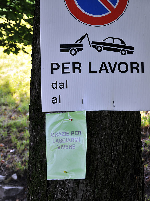 “Requiem” per gli alberi di salita Santa Caterina