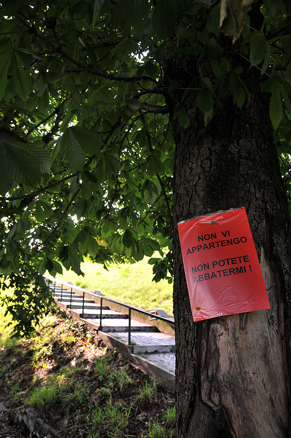 “Requiem” per gli alberi di salita Santa Caterina