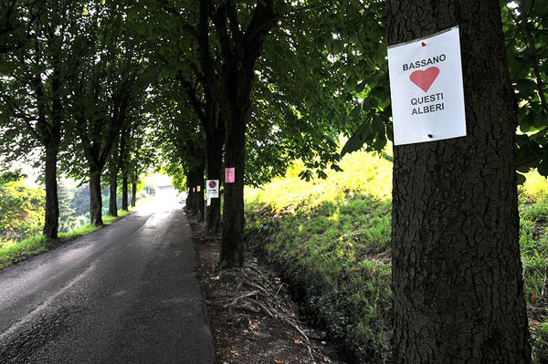 “Requiem” per gli alberi di salita Santa Caterina