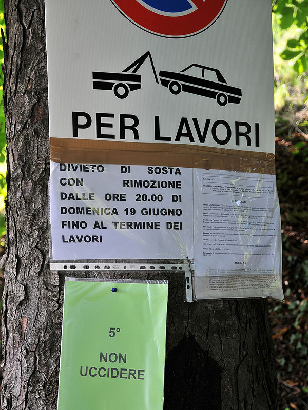 “Requiem” per gli alberi di salita Santa Caterina