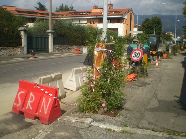 Cartolina da Bassano