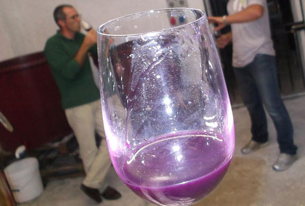 Premiato il vino dell’Agrario di Bassano