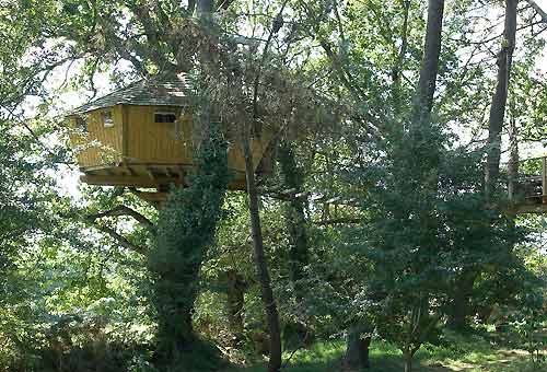 C’è una casa sull’albero che…