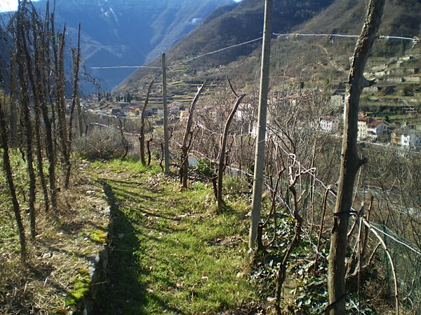 Semaforo verde per le "Unioni Montane"