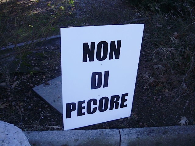 Il ruggito di Sacro Cuore