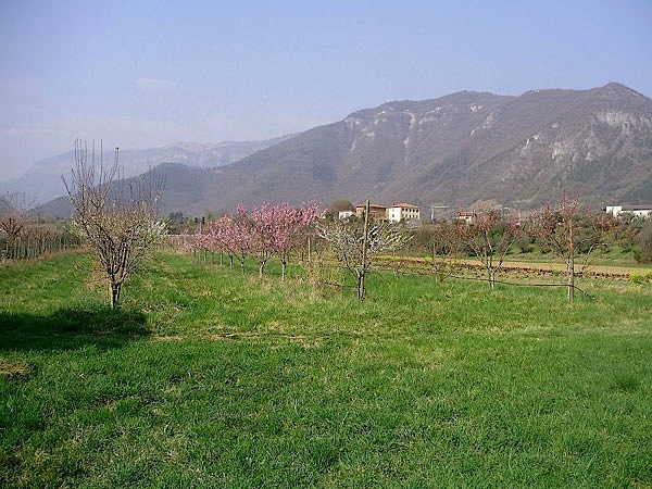 La Cospirazione della Speranza