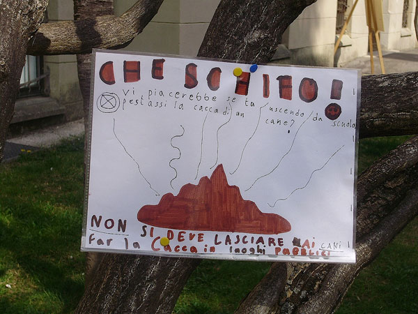 Se a darci una lezione sono gli scolari