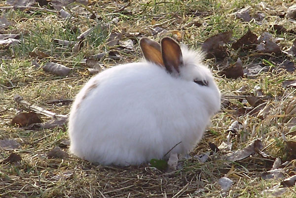 Pasqua con i tuoi