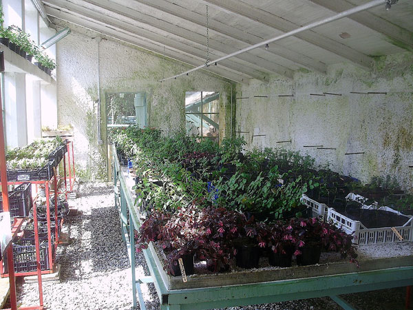 Le serre restaurate