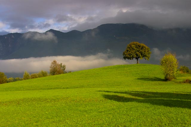 Le bellezze della Pedemontana
