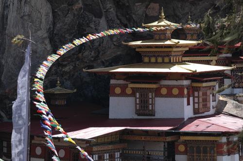 Universi tibetani