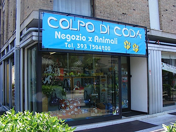 Colpo di ladri