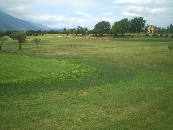 Mai dire Golf