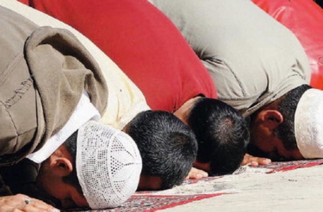 La scritta islamofoba e il gatto crocifisso