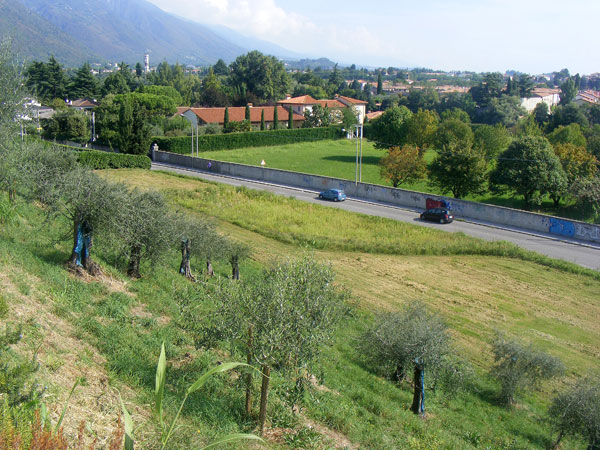 Area del futuro parcheggio e riva con gli ulivi