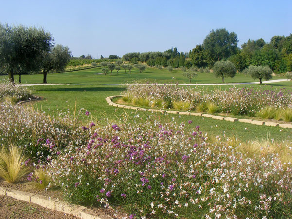 Aiuole tra campo pratica e percorso buche