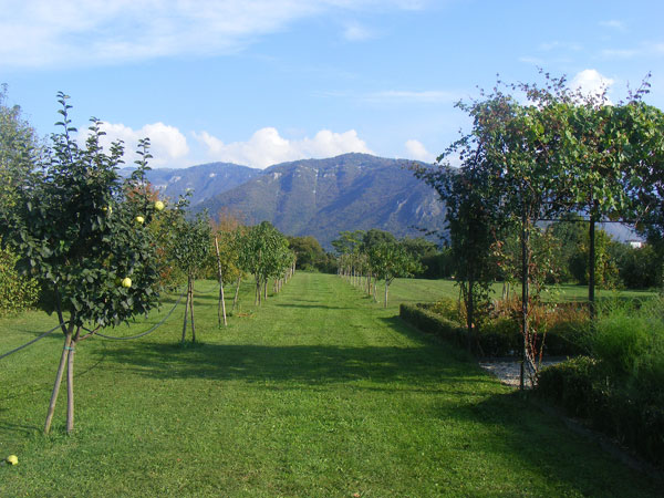 Percorso alberato