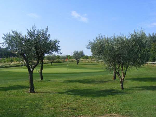 Ulivi e buca n. 2