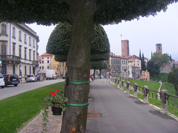 Cittadinanza onoraria ai Martiri del Grappa: “sì” unanime
