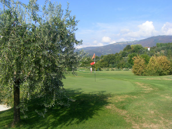 Pitching green