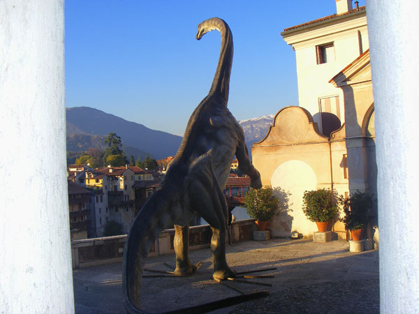 Consoliamoci col Diplodoco