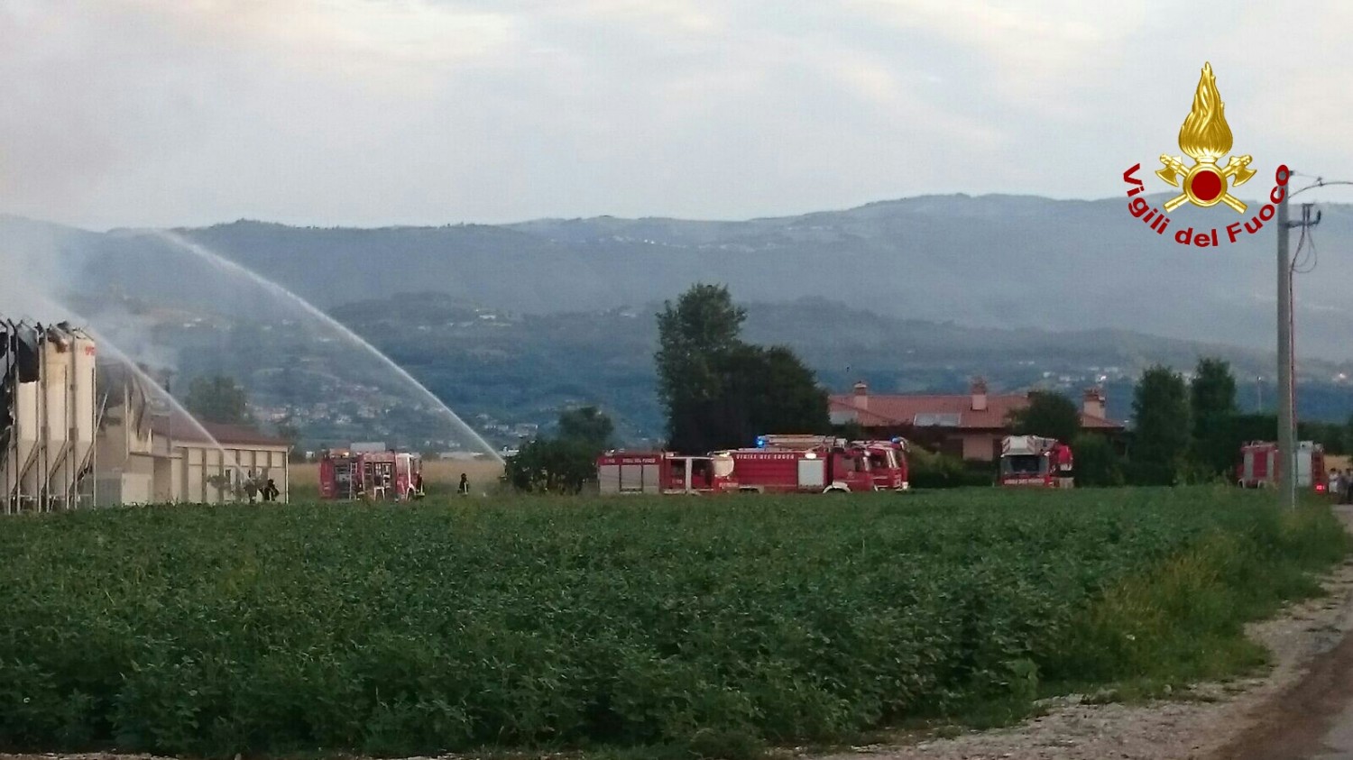 Lo struzzo e la giraffa