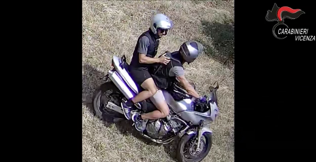 Lo struzzo e la giraffa