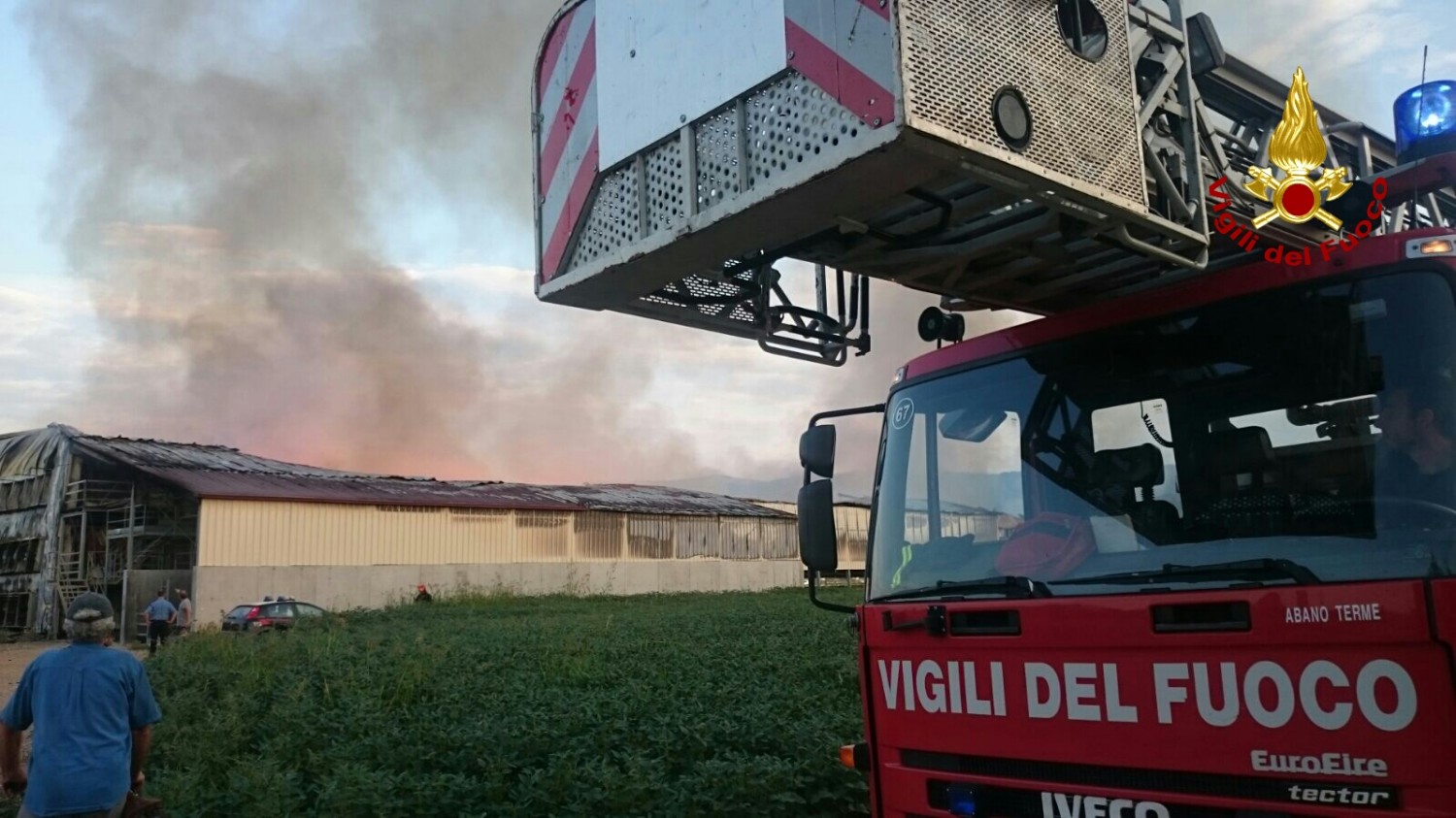 Lo struzzo e la giraffa
