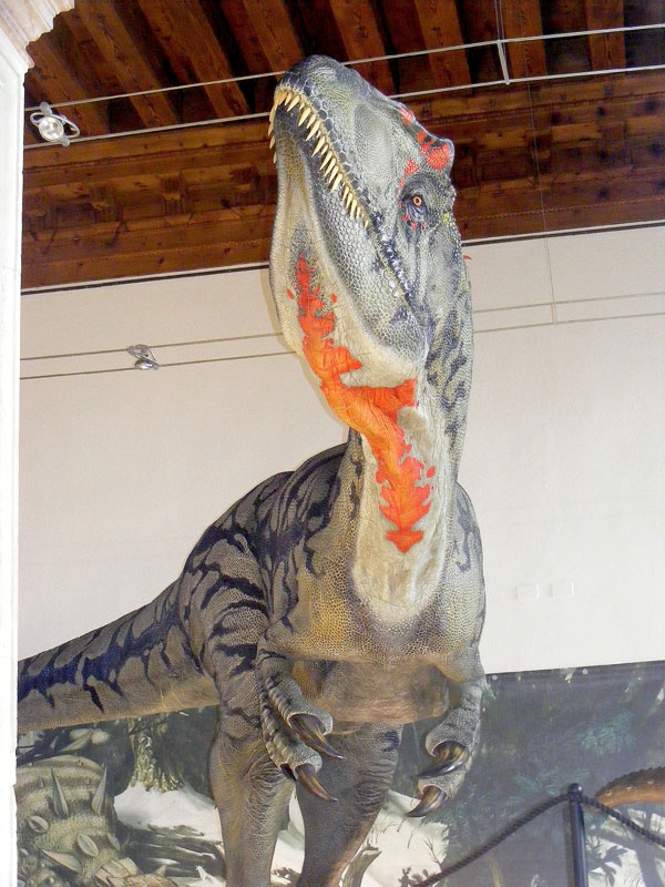 Allosaurus