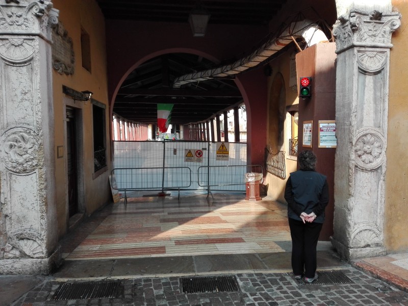 Lo struzzo e la giraffa