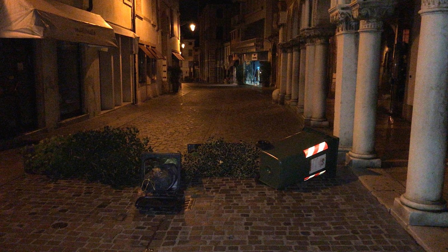 Lo struzzo e la giraffa