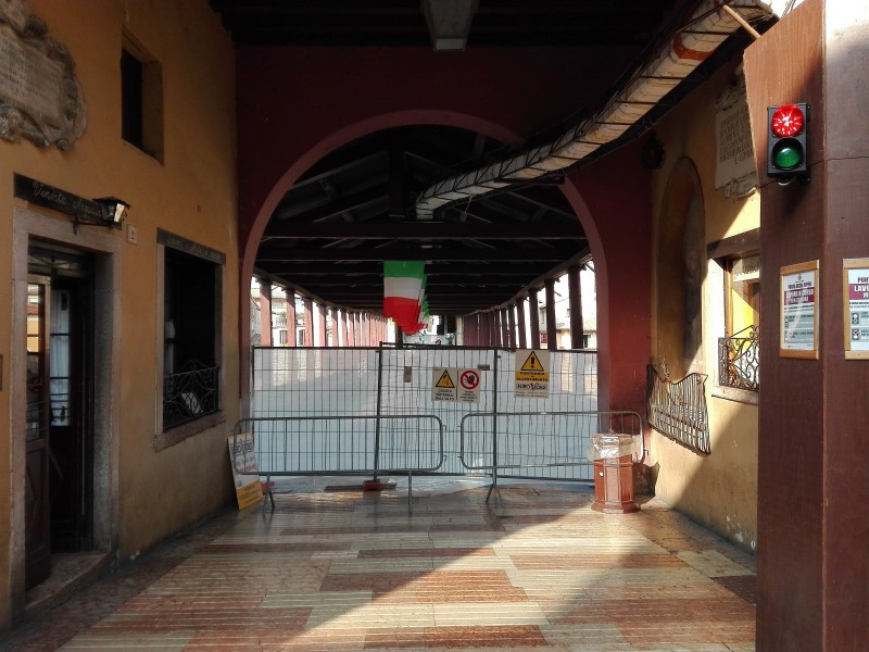 Lo struzzo e la giraffa