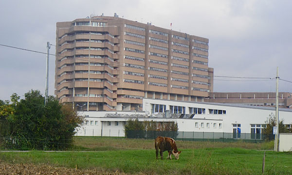 Sanità veneta, direttori generali “sotto esame”