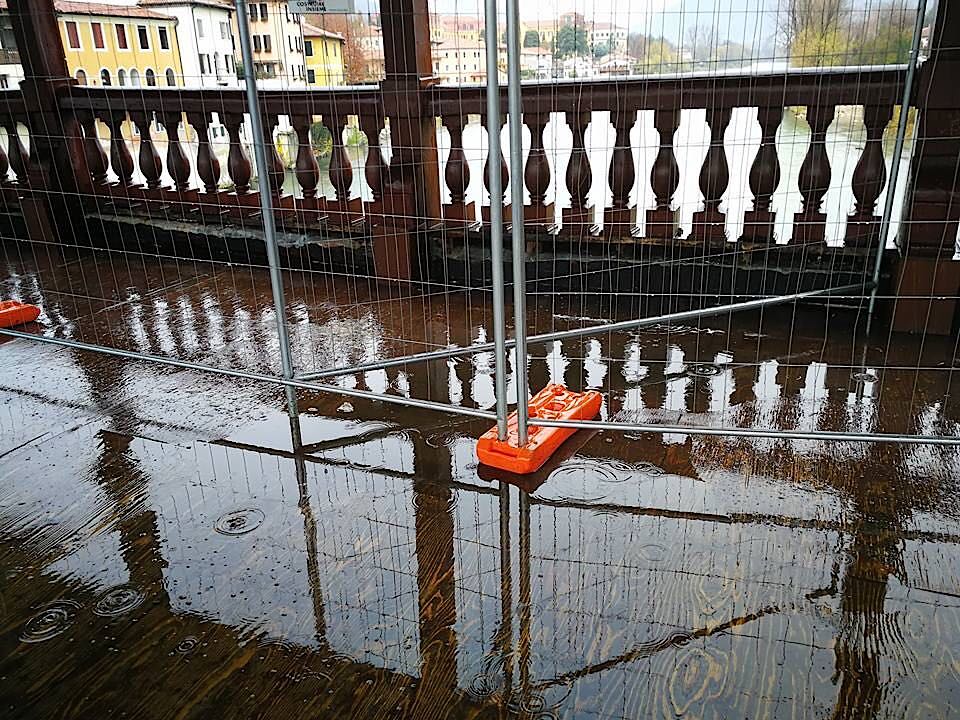 Lo struzzo e la giraffa