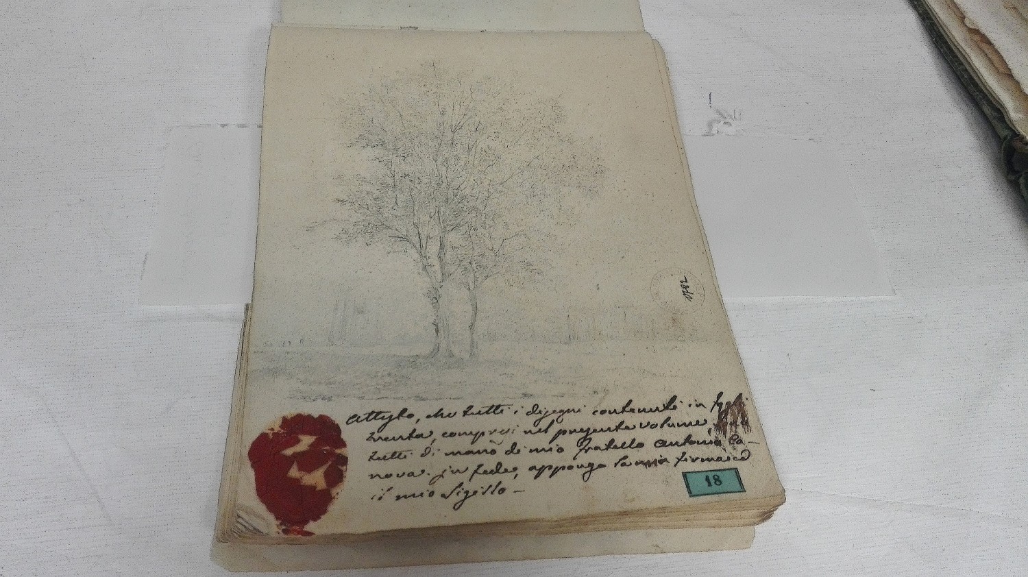 Disegno di Antonio Canova con sigillo e attestazione del fratellastro Giovanni Battista Sartori Canova (foto Alessandro Tich)