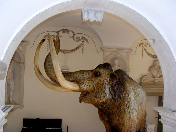 Mammut