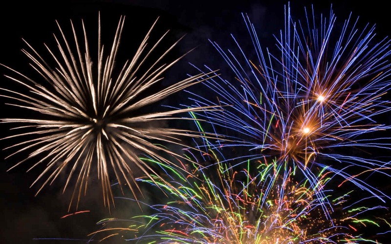 Botti di capodanno, la LAV chiede ai sindaci di vietarli