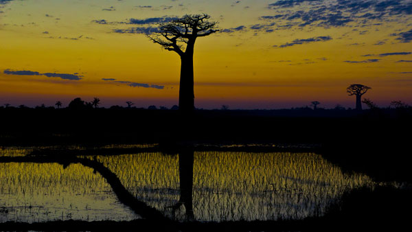 Sorprendente Madagascar