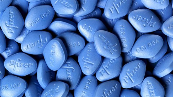 Il Viagra può modificare la forma e la crescita dei funghi porcini