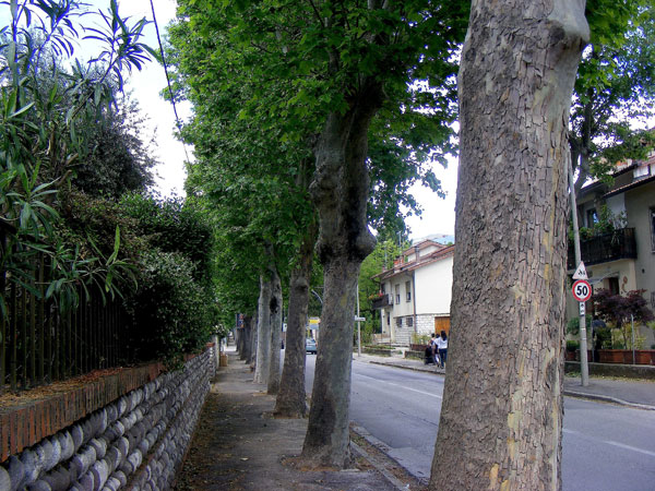 Il luogo del “delitto”