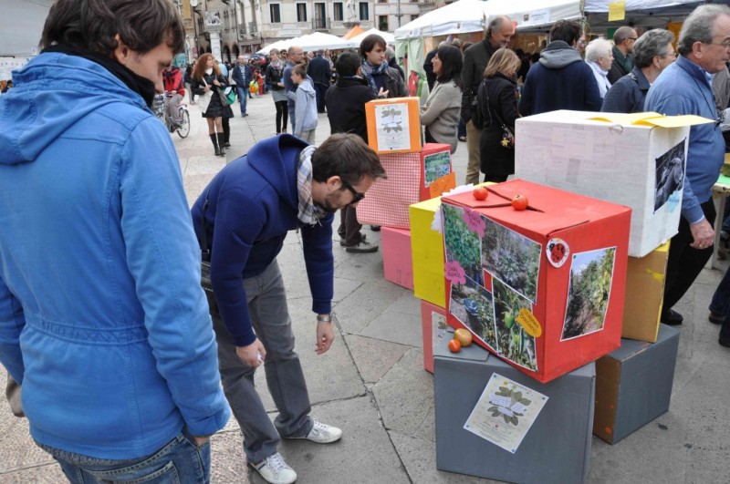 Sintonizzare: "Frequenze sostenibili"