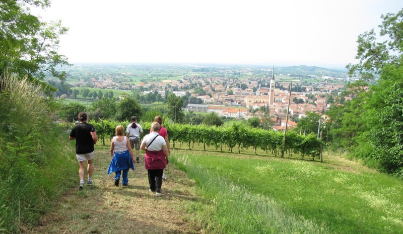 Al via le Europiadi